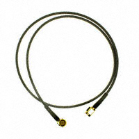 CCSMA1-MM-RG174-24